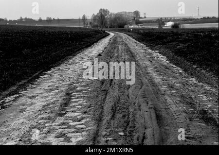 L'immagine mostra la sezione di ciottoli 10 (Mons-en-Pevele) durante una ricognizione della pista della prossima domenica 'Parigi-Roubaix', gara ciclistica di un giorno, mercoledì 08 aprile 2015 a Roubaix, Francia. Foto Stock