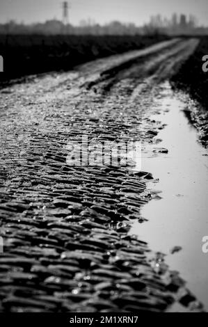 L'immagine mostra la sezione 19 di cobble (Haveluy) durante una ricognizione della pista della prossima domenica 'Parigi-Roubaix' gara ciclistica di un giorno, mercoledì 08 aprile 2015 a Roubaix, Francia. Foto Stock