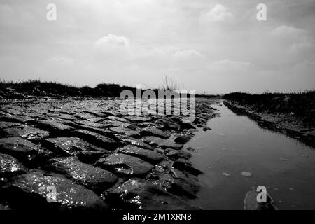 L'immagine mostra la sezione 19 di cobble (Haveluy) durante una ricognizione della pista della prossima domenica 'Parigi-Roubaix' gara ciclistica di un giorno, mercoledì 08 aprile 2015 a Roubaix, Francia. Foto Stock