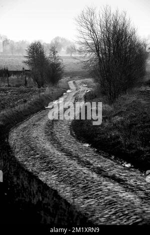 L'immagine mostra la sezione di ciottoli 10 (Mons-en-Pevele) durante una ricognizione della pista della prossima domenica 'Parigi-Roubaix', gara ciclistica di un giorno, mercoledì 08 aprile 2015 a Roubaix, Francia. Foto Stock