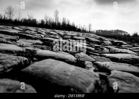 L'immagine mostra la sezione di cobble 4 (Carrefour de l'Arbre) durante una ricognizione della pista della prossima domenica 'Parigi-Roubaix', gara ciclistica di un giorno, mercoledì 08 aprile 2015 a Roubaix, Francia. Foto Stock