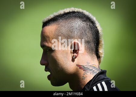 20150609 - BRUXELLES, BELGIO: Radja Nainggolan del Belgio nella foto durante una sessione di allenamento della nazionale belga di calcio The Red Devils a Bruxelles, martedì 09 giugno 2015. I Diavoli si stanno preparando per un gioco di qualificazione Euro 2016 contro il Galles. FOTO DI BELGA BRUNO FAHY Foto Stock