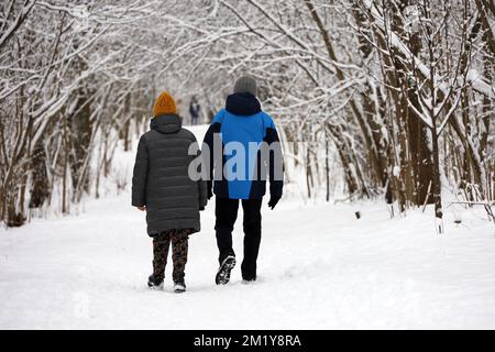 Donna e uomo che camminano nel parco d'inverno, vista posteriore. Coppia in abiti caldi durante il tempo della neve Foto Stock