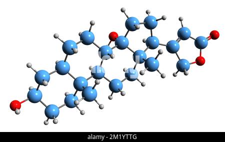 3D immagine di Uzarigenin formula scheletrica - struttura chimica molecolare di cardenolide isolato su sfondo bianco Foto Stock