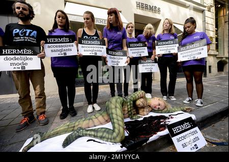 Lesley-Ann Poppe ha illustrato durante un evento di Gaia, organizzazione per il benessere degli animali e attivisti per i diritti degli animali di Peta, contro gli animali che soffrono di fronte al negozio di lusso Hermes a Bruxelles, mercoledì 09 settembre 2015. Foto Stock