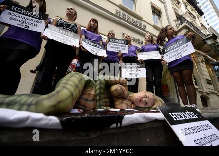 Lesley-Ann Poppe ha illustrato durante un evento di Gaia, organizzazione per il benessere degli animali e attivisti per i diritti degli animali di Peta, contro gli animali che soffrono di fronte al negozio di lusso Hermes a Bruxelles, mercoledì 09 settembre 2015. Foto Stock