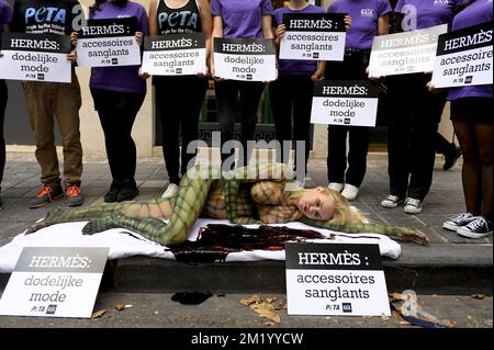 Lesley-Ann Poppe ha illustrato durante un evento di Gaia, organizzazione per il benessere degli animali e attivisti per i diritti degli animali di Peta, contro gli animali che soffrono di fronte al negozio di lusso Hermes a Bruxelles, mercoledì 09 settembre 2015. Foto Stock