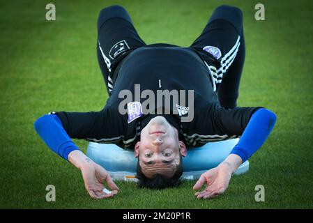 20160107 - LA MANGA, SPAGNA: Silvio Proto, portiere di Anderlecht, nella foto durante il terzo giorno del campo di allenamento invernale della squadra di calcio belga di prima divisione RSC Anderlecht, a la Manga, Spagna, giovedì 07 gennaio 2016. BELGA PHOTO VIRGINIE LEFOUR Foto Stock