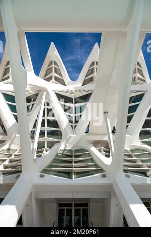 Simmetria nella Città delle Arti e delle Scienze, Valencia Foto Stock