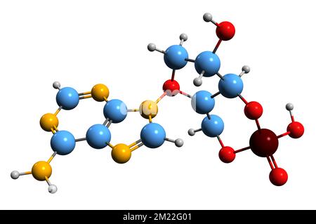 3D image of Cyclic adenosine monophosphate skeletal formula - molecular chemical structure of  second messenger cAMP isolated on white background Foto Stock