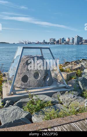 Since 2021 approximately 400 concrete structures know as reef balls were placed in various locations in the Halifax Nova Scotia harbour.  These struct Stock Photo