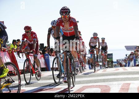 Il belga Maxime Monfort di Lotto Soudal nella foto alla terza tappa della 71st° edizione della gara ciclistica Vuelta, a 176,4 km da Marin a Dumbria, Spagna, lunedì 22 agosto 2016. Foto Stock