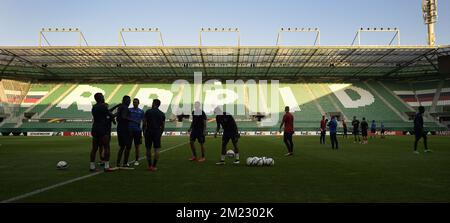 I giocatori di Genk hanno illustrato durante una sessione di allenamento della prima squadra di calcio belga Racing Genk a Vienna, Austria, mercoledì 14 settembre 2016. Domani Genk giocherà la prima partita della fase di gruppo del concorso Europa League contro il club austriaco Rapid Wien, nel gruppo F. BELGA FOTO YORICK JANSENS Foto Stock