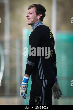 Davy Roef, portiere di Anderlecht, ha illustrato il settimo giorno del campo di allenamento invernale della squadra di calcio belga di prima divisione RSC Anderlecht Los Belones, Murcia, Spagna, mercoledì 11 gennaio 2017. BELGA PHOTO VIRGINIE LEFOUR Foto Stock