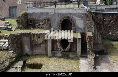 Il foro romano, che rappresentava il centro politico, giuridico, religioso ed economico della città di Roma, è il luogo più importante dell'antica città Foto Stock