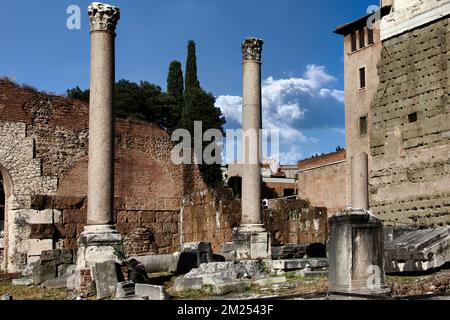 Il foro romano, che rappresentava il centro politico, giuridico, religioso ed economico della città di Roma, è il luogo più importante dell'antica città Foto Stock