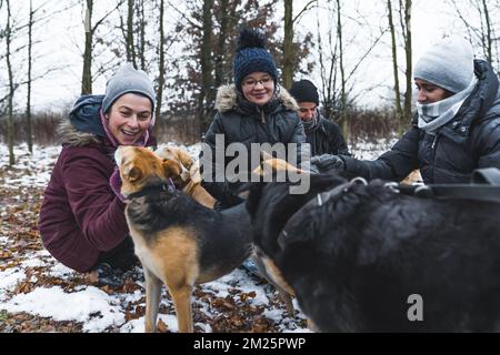 Un gruppo di volontari giovani e di mezza età si squata su terreno coperto di neve e foglie e gioca con cani ricoveri di razza mista. Foto di alta qualità Foto Stock