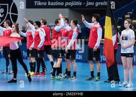 Questa foto, distribuita dall'Unione Handball, mostra la partita di handball tra Lituania e Belgio, un gioco di qualificazione per i Campionati europei, domenica 07 maggio 2017 a Leuven. BELGA FOTO HANDOUT LINAS ZEMGULIS Foto Stock