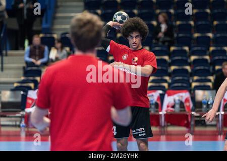 Questa foto, distribuita dall'Unione Handball, mostra la partita di handball tra Lituania e Belgio, un gioco di qualificazione per i Campionati europei, domenica 07 maggio 2017 a Leuven. BELGA FOTO HANDOUT LINAS ZEMGULIS Foto Stock