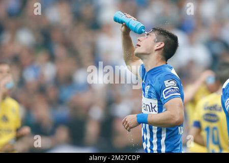 Ruslan Malinovsky di Genk ha mostrato durante la partita della Jupiler Pro League tra KRC Genk e STVV, a Genk, sabato 27 maggio 2017, la finale del Play-off 2B del campionato di calcio belga. FOTO DI BELGA BRUNO FAHY Foto Stock