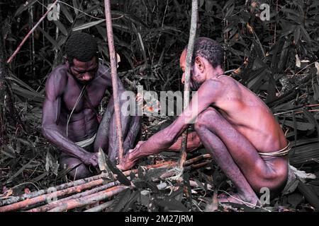 Fare trappole per suini per il popolo Korowai è una tradizione che è stata tramandata di generazione in generazione. Ancora una volta, le materie prime per questo occ Foto Stock