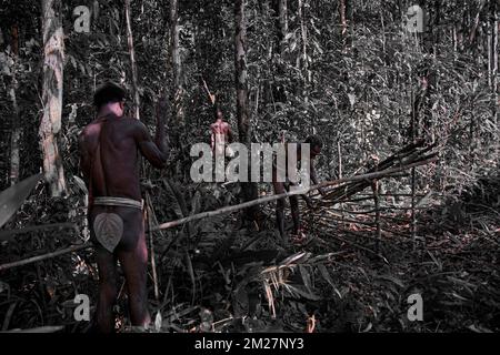 Fare trappole per suini per il popolo Korowai è una tradizione che è stata tramandata di generazione in generazione. Ancora una volta, le materie prime per questo occ Foto Stock