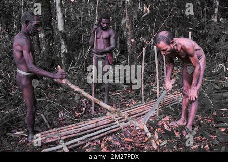 Fare trappole per suini per il popolo Korowai è una tradizione che è stata tramandata di generazione in generazione. Ancora una volta, le materie prime per questo occ Foto Stock