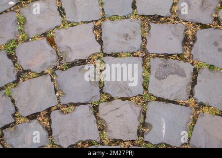 passerella in pietra tagliata grossolanamente con erba che cresce nel mezzo Foto Stock