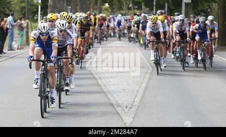 L'immagine mostra il pacco di piloti in azione durante la terza tappa della 104th edizione della gara ciclistica Tour de France, a 212,5 km da Verviers, Belgio a Longwy, Francia, lunedì 03 luglio 2017. Il Tour de France di quest'anno si svolge dal primo al 23rd luglio. FOTO DI BELGA YORICK JANSENS Foto Stock