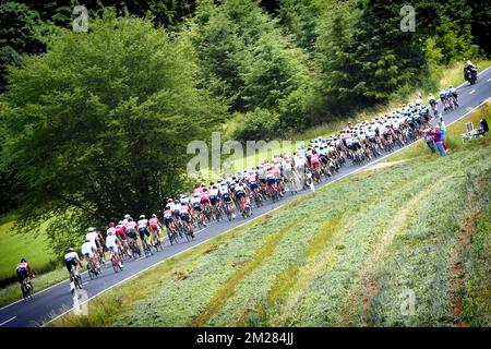 L'immagine mostra il pacco di piloti in azione durante la terza tappa della 104th edizione della gara ciclistica Tour de France, a 212,5 km da Verviers, Belgio a Longwy, Francia, lunedì 03 luglio 2017. Il Tour de France di quest'anno si svolge dal primo al 23rd luglio. FOTO DI BELGA YORICK JANSENS Foto Stock