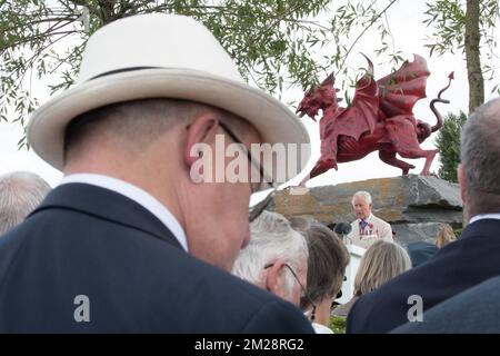 Il principe britannico Charles, principe del Galles, tiene un discorso al Welsh National Service of Remembrance presso il Welsh National Memorial Park per celebrare il centenario di Passchendaele, la terza battaglia di Ypres il 30th e 31st luglio 2017, lunedì 31 luglio 2017. BELGA FOTO PISCINA BENOIT DOPPAGNE Foto Stock