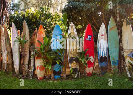 Parete fresca fatta di tavole da surf usate a Maui. Foto Stock