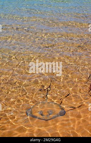 Il raggio di coda di balena macchiato nella Laguna Grande, il Parco Nazionale di Francois Peron Foto Stock