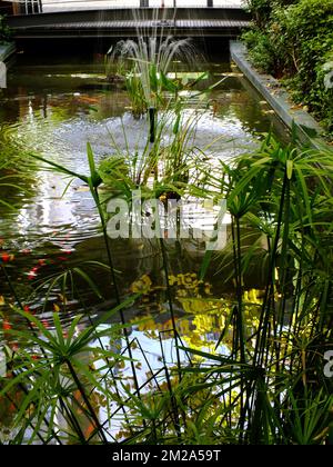 Town of Béziers | Ville de Béziers centre commercial polygone plan d'eau 06/10/2017 Stock Photo