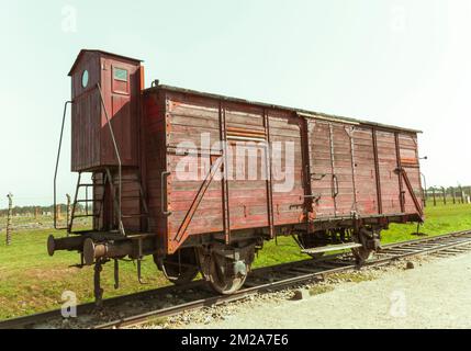 Famosi vagoni ferroviari per bestiame utilizzati per trasportare persone deportate come animali ad Auschwitz-Birkenau e in altri campi di concentramento nazisti. Foto Stock