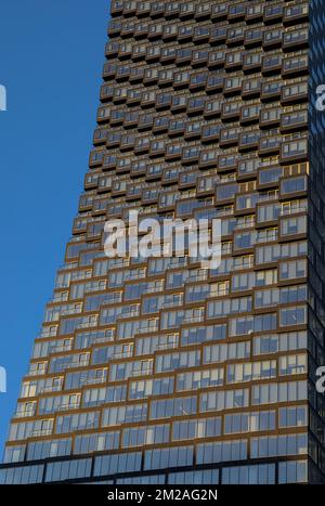 Calgary, Alberta / Canada - Dicembre 11 2022: Finestre del Telus Sky edificio contro il cielo blu nel centro di Calgary, Alberta Foto Stock