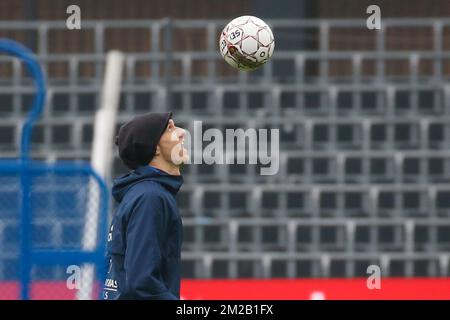 Lukasz Teodorczyk di Anderlecht, nella foto di una sessione di formazione aperta della squadra di calcio belga RSC Anderlecht, mercoledì 15 novembre 2017 a Bruxelles. FOTO DI BELGA BRUNO FAHY Foto Stock