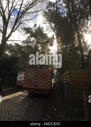 L'immagine mostra la scena a Rijmenam, Bonheiden, dove un albero sradicato ha causato un'interruzione di corrente, giovedì 18 gennaio 2018. PEETERS BELGA PHOTO MAARTEN Foto Stock