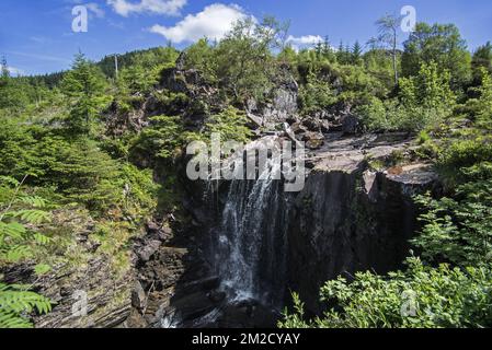 Cascate Vittoria nella Foresta di Slattadale, cascata sul fiume Abhainn Garbhaig che scorre verso Loch Maree, Wester Ross, Highlands scozzesi, Scozia, UK | la Cascade Cascate Vittoria sur la rivière Abhainn Garbhaig à Foresta di Slattadale, Wester Ross, Ecosse, Royaume-uni 31/05/2017 Foto Stock
