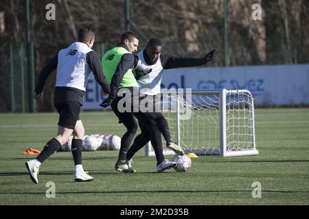 I giocatori di Standard sono raffigurati in azione durante una sessione di allenamento aperto della squadra di calcio belga Standard de Liege, mercoledì 14 febbraio 2018, ad Angleur. BELGA FOTO KOEN BLANCKAERT Foto Stock