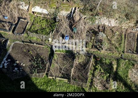 La comunità, condiviso, giardino urbano corrispondono ha una forma di gestione in comune di un terreno da parte di un gruppo di abitanti dello stesso distretto. Così l'esistenza di un giardino collettivo si basa su una dinamica partecipativa. Gli abitanti lo coltivano insieme per raccogliere frutta e verdura. Oltre allo spazio vegetale, non è raro che si creino zone naturali per favorire l'aumento della biodiversità nella flora e nella fauna (insetti, uccelli ...) locali. I giardini contribuiscono a ripulire le zone malsane, a partecipare al riciclaggio di alcuni rifiuti, ecc. | Les jardins communautaires, ur Foto Stock