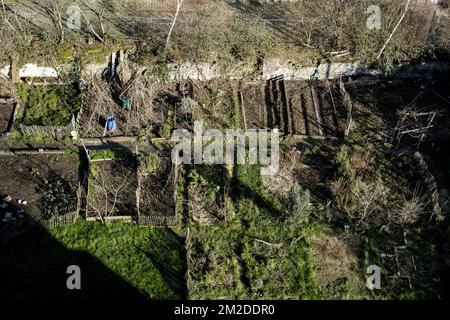 La comunità, condiviso, giardino urbano corrispondono ha una forma di gestione in comune di un terreno da parte di un gruppo di abitanti dello stesso distretto. Così l'esistenza di un giardino collettivo si basa su una dinamica partecipativa. Gli abitanti lo coltivano insieme per raccogliere frutta e verdura. Oltre allo spazio vegetale, non è raro che si creino zone naturali per favorire l'aumento della biodiversità nella flora e nella fauna (insetti, uccelli ...) locali. I giardini contribuiscono a ripulire le zone malsane, a partecipare al riciclaggio di alcuni rifiuti, ecc. | Les jardins communautaires, ur Foto Stock