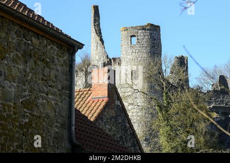 Rovine del Castello di Montaigle nella valle di Molignee | Ruines du Chateau de Montaigle dans la vallee de la Molignee 26/02/2018 Foto Stock