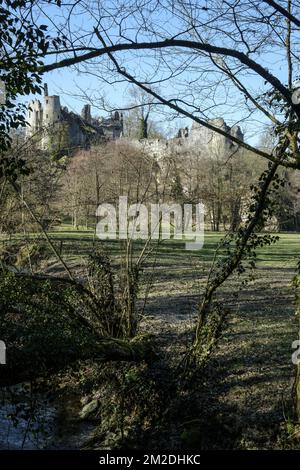 Rovine del Castello di Montaigle nella valle di Molignee | Ruines du Chateau de Montaigle dans la vallee de la Molignee 26/02/2018 Foto Stock
