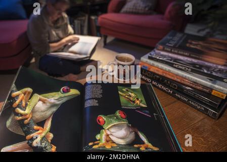 Open non-fiction hardcover tavolino libro sulla fauna selvatica fotografia mostra gli animali nel soggiorno a casa | Beau-livre de nature ouvert sur table de salon 06/03/2018 Foto Stock