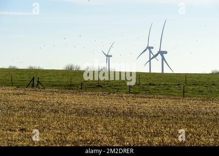 Parc eolien au milieu des champs dans les Campagnes Wallones. | Fattoria eolica nel mezzo dei campi. Rete elettrica con turbina eolica Reseau electrique 26/02/2018 Foto Stock