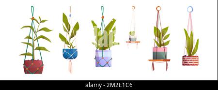 Macrame hangers with house plants in pots. Houseplants, flowers with green leaves in handmade holders from rope isolated on white background, vector c Illustrazione Vettoriale