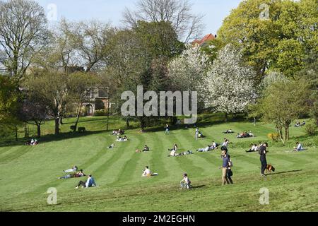 Primavera | Printemps 17/04/2016 Foto Stock