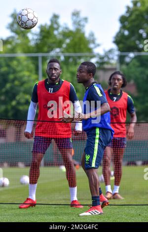 Yohan Boli di STVV nella foto durante la prima sessione di allenamento della stagione 2018-2019 del team di Jupiler Pro League Sint-Truidense V.V., mercoledì 20 giugno 2018 a Sint-Truiden. BELGA FOTO LUC CLAESSEN Foto Stock