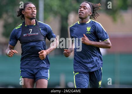 Jordan Botaka di STVV, nella foto, durante la prima sessione di allenamento della stagione 2018-2019 del team della Jupiler Pro League Sint-Truidense V.V., mercoledì 20 giugno 2018 a Sint-Truiden. BELGA FOTO LUC CLAESSEN Foto Stock